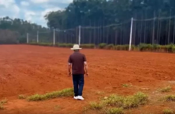 Reprodução/Redes Sociais