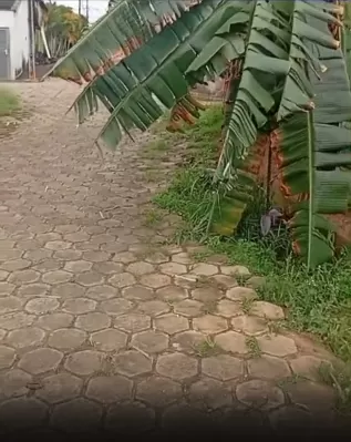 Reprodução/Redes Sociais