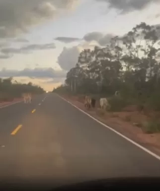 Reprodução/Redes Sociais