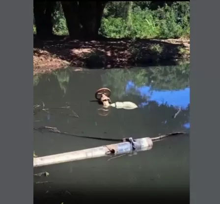 Reprodução/Redes Sociais