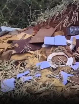 Reprodução/Redes Sociais