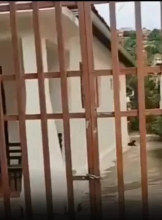 Reprodução/Redes Sociais