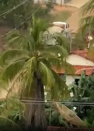 Caminhão perde o controle ao subir morro e destrói parte de residência em Francisco Badaró
