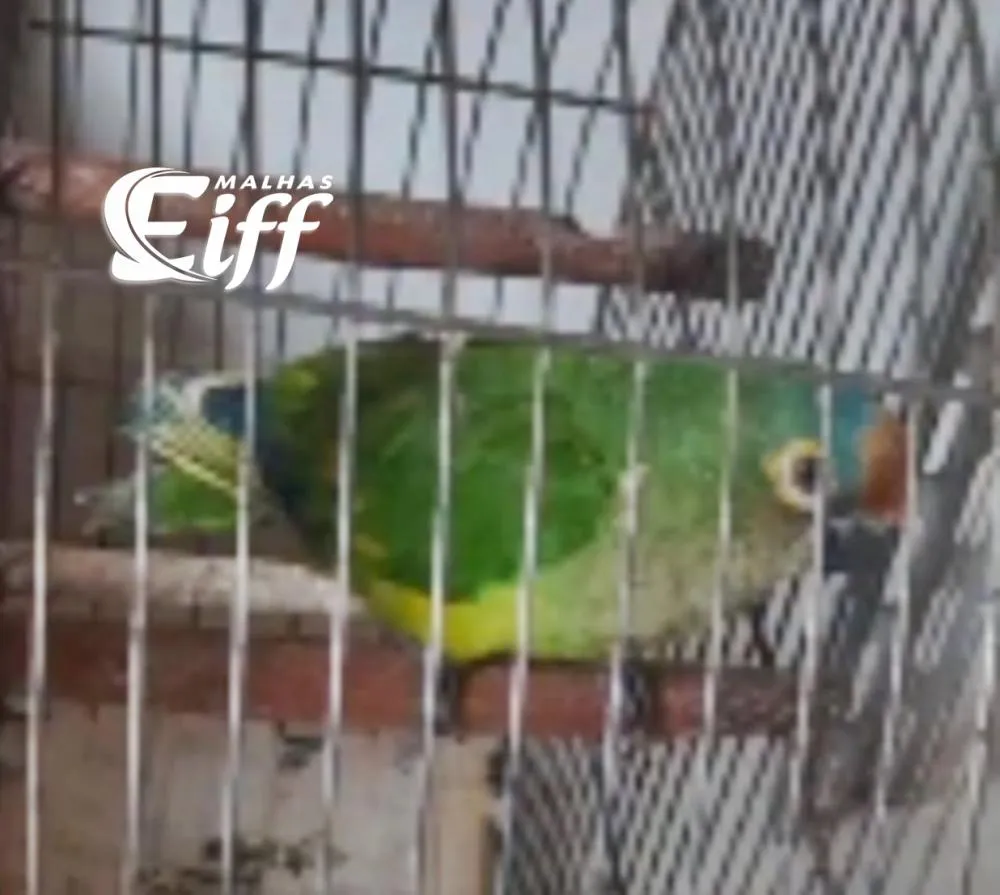 Reprodução/Redes Sociais