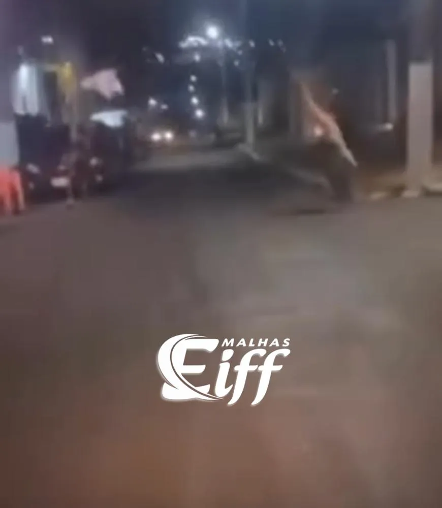 Reprodução/Redes Sociais