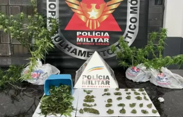 Reprodução